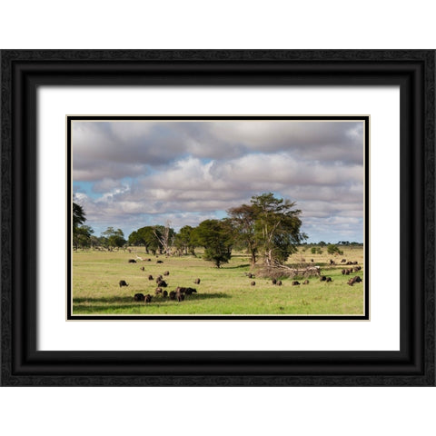Landscape of the savannah-Tsavo-Kenya Black Ornate Wood Framed Art Print with Double Matting by Pitamitz, Sergio