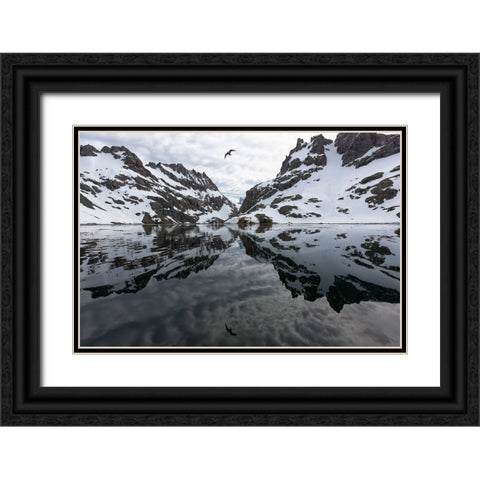 Southern Ocean-South Georgia-Larsen Harbor-Drygalski Fjord Black Ornate Wood Framed Art Print with Double Matting by Goff, Ellen B.