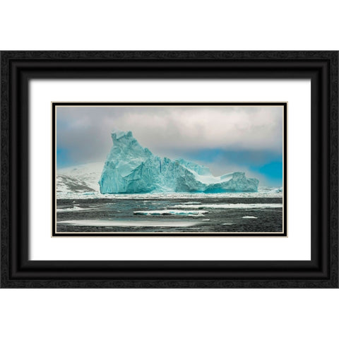 Antarctic iceberg Black Ornate Wood Framed Art Print with Double Matting by Theodore, George and Marilu