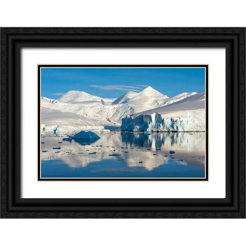 Snow covered island and iceberg with reflection in South Atlantic Ocean-Antarctica Black Ornate Wood Framed Art Print with Double Matting by Su, Keren