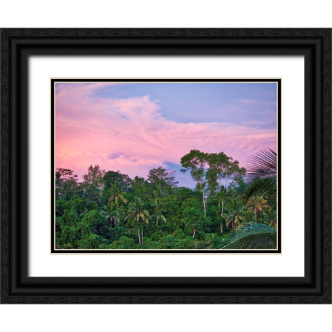 Indonesia-Bali-Ubud-Sunrise in the rainforest Black Ornate Wood Framed Art Print with Double Matting by Eggers, Terry