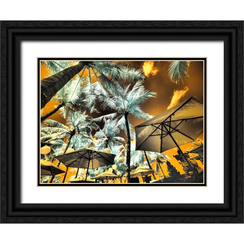 Bali-Ubud-Umbrellas-Ponds and pools at hotel in Ubud Black Ornate Wood Framed Art Print with Double Matting by Eggers, Terry