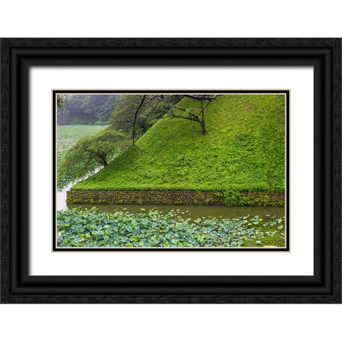 Lotus pond in the Royal Palace-Tokyo-Japan Black Ornate Wood Framed Art Print with Double Matting by Su, Keren
