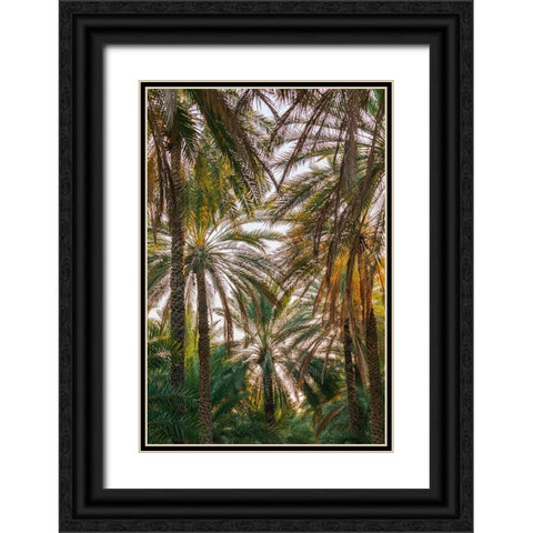Middle East-Arabian Peninsula-Oman-Ad Dakhiliyah-Nizwa-Palm trees in Nizwa-Oman Black Ornate Wood Framed Art Print with Double Matting by Wilson, Emily M.