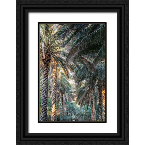 Middle East-Arabian Peninsula-Oman-Ad Dakhiliyah-Nizwa-Palm trees in Nizwa-Oman Black Ornate Wood Framed Art Print with Double Matting by Wilson, Emily M.