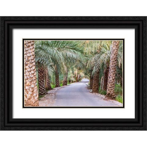 Middle East-Arabian Peninsula-Oman-Ad Dakhiliyah-Nizwa-Palm trees along a road in Nizwa-Oman Black Ornate Wood Framed Art Print with Double Matting by Wilson, Emily M.