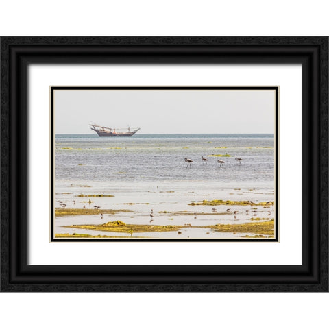 Middle East-Arabian Peninsula-Al Batinah South-Mahout-Flamingos Black Ornate Wood Framed Art Print with Double Matting by Wilson, Emily M.