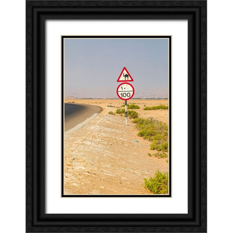 Middle East-Arabian Peninsula-Al Batinah South-Camel crossing Black Ornate Wood Framed Art Print with Double Matting by Wilson, Emily M.