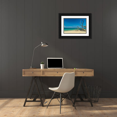 Ko Kradan-Talay Trang archipelago-Thailand Black Ornate Wood Framed Art Print with Double Matting by Pitamitz, Sergio