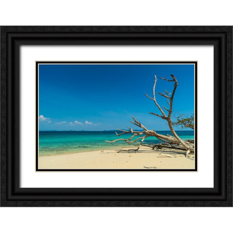 Ko Kradan-Talay Trang archipelago-Thailand Black Ornate Wood Framed Art Print with Double Matting by Pitamitz, Sergio