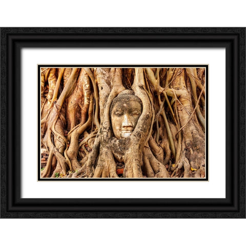 Thailand- Ayutthaya. Wat Mahathat. Buddha head engulfed in tree roots. Black Ornate Wood Framed Art Print with Double Matting by Haseltine, Tom