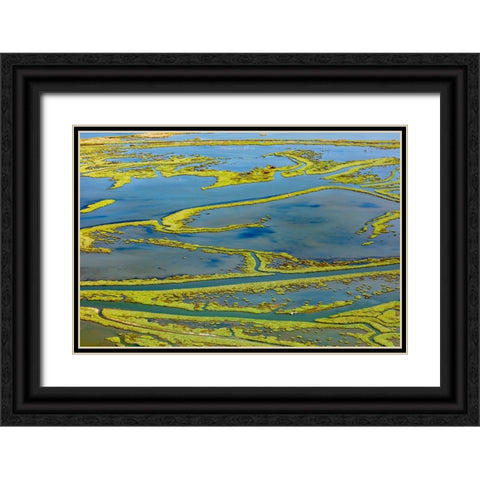 Wetland on the Aegean coast-Turkey Black Ornate Wood Framed Art Print with Double Matting by Kabas, Ali