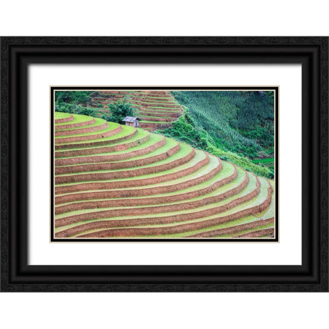 Vietnam -Rice paddies in the highlands of Sapa Black Ornate Wood Framed Art Print with Double Matting by Norring, Tom