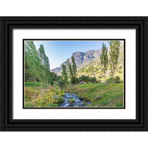 Artuch-Sughd Province-Tajikistan A small creek in the mountains of Tajikistan Black Ornate Wood Framed Art Print with Double Matting by Wilson, Emily M.