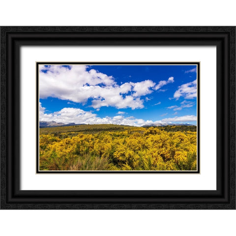 Wildflowers on rolling hills above Lake Te Anau-South Island-New Zealand Black Ornate Wood Framed Art Print with Double Matting by Bishop, Russ
