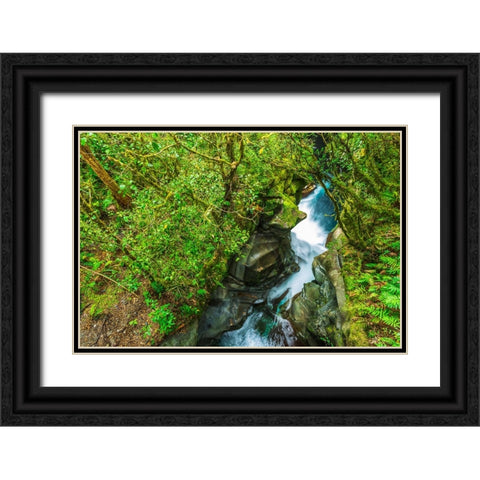 The Chasm-Fiordland National Park-South Island-New Zealand Black Ornate Wood Framed Art Print with Double Matting by Bishop, Russ