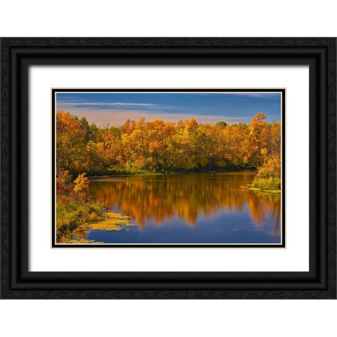 Canada- Manitoba. Autumn scene- Grindstone Point Road and Hwy 8. Black Ornate Wood Framed Art Print with Double Matting by Jaynes Gallery