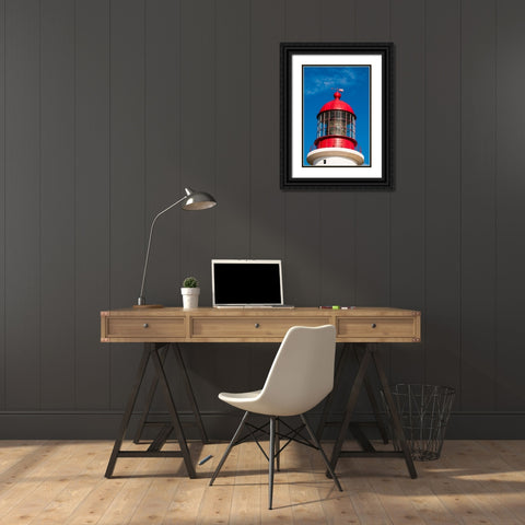 Cape Race Lighthouse-Cape Race-Avalon Peninsula-Newfoundland-Canada Black Ornate Wood Framed Art Print with Double Matting by DeFreitas, Michael