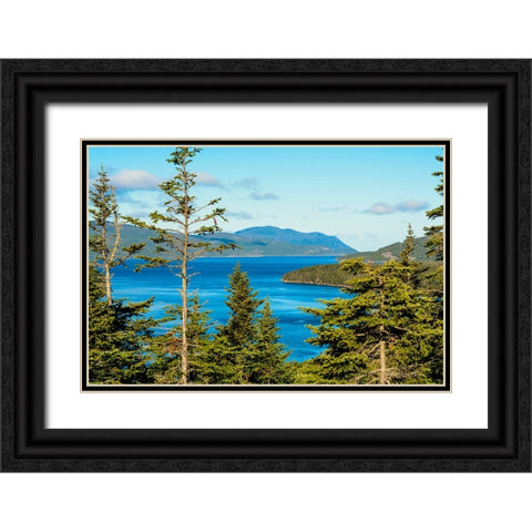Gros Morne National Park-Wild Cove on Bonne Bay-Newfoundland-Canada Black Ornate Wood Framed Art Print with Double Matting by DeFreitas, Michael