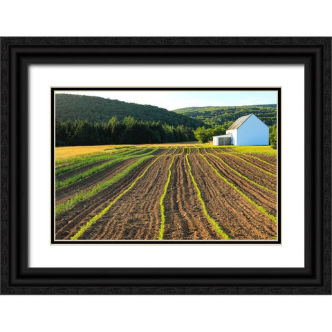 Canada-Nova Scotia-Cape Breton-Miller Farm-Margaree Black Ornate Wood Framed Art Print with Double Matting by Wall, Patrick J.