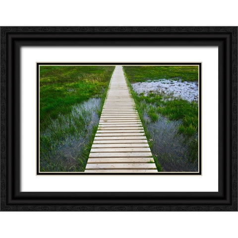 A plank pathway in Landmannalaugar-Iceland Black Ornate Wood Framed Art Print with Double Matting by Su, Keren