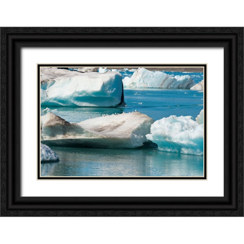 Icebergs in Jokulsarlon Glacial Lagoon-Iceland Black Ornate Wood Framed Art Print with Double Matting by Su, Keren