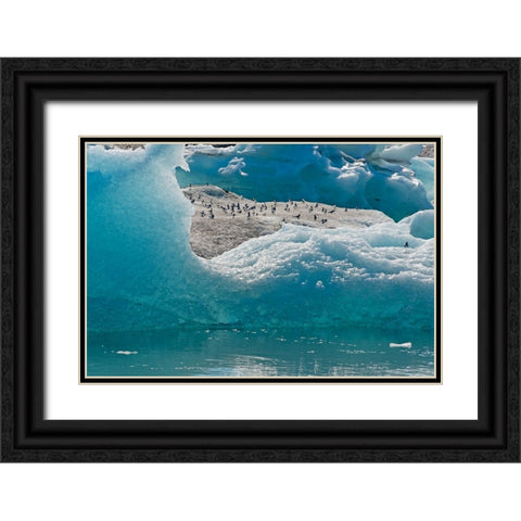 Birds on icebergs in Jokulsarlon Glacial Lagoon-Iceland Black Ornate Wood Framed Art Print with Double Matting by Su, Keren