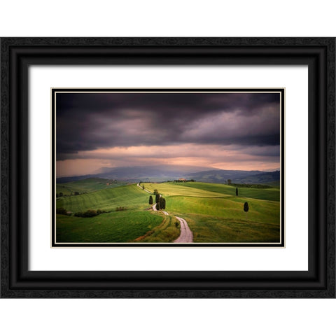 Europe-Italy-Tuscany-Val dOrcia-Road through farming landscape Black Ornate Wood Framed Art Print with Double Matting by Jaynes Gallery