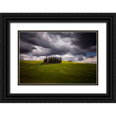 Europe-Italy-Tuscany-Val d Orcia-Cypress grove and farmland Black Ornate Wood Framed Art Print with Double Matting by Jaynes Gallery