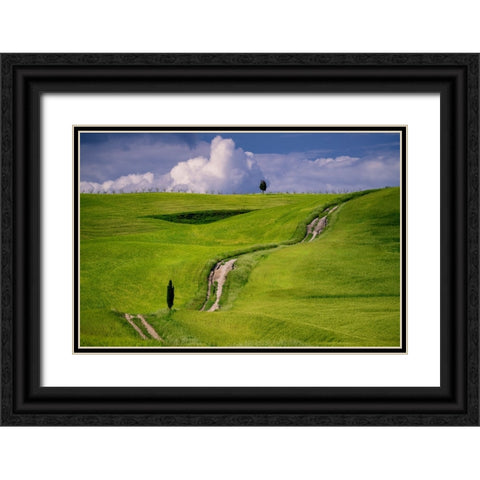 Europe-Italy-Tuscany-Val d Orcia-Cypress tree and winding road in farmland hills Black Ornate Wood Framed Art Print with Double Matting by Jaynes Gallery