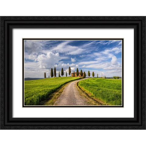 Europe-Italy-Tuscany-Val d Orcia-Road to Il Cipressini farmhouse Black Ornate Wood Framed Art Print with Double Matting by Jaynes Gallery
