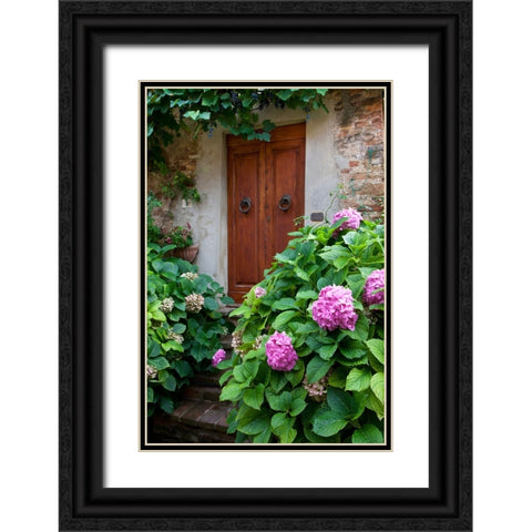 Italy-Tuscany-Pienza Hydrangeas at the entrance of a home in the streets of Pienza Black Ornate Wood Framed Art Print with Double Matting by Eggers, Julie