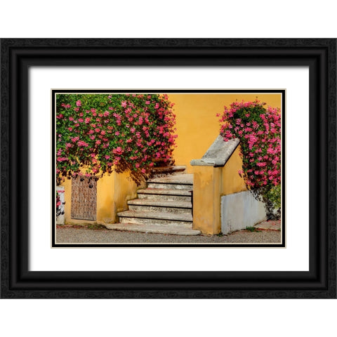 Italy-Tuscany Stairs covered in flowers Black Ornate Wood Framed Art Print with Double Matting by Eggers, Julie