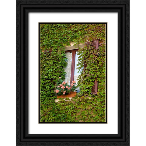 Italy-Tuscany-Montepulciano Window surrounded by ivy with pot of geraniums in hill town Black Ornate Wood Framed Art Print with Double Matting by Eggers, Julie