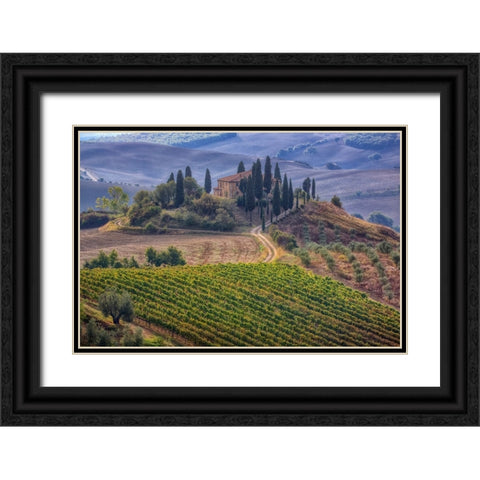 Italy-Tuscany Belvedere House-Olive trees-and vineyards near San Quirico dOrcia Black Ornate Wood Framed Art Print with Double Matting by Eggers, Julie