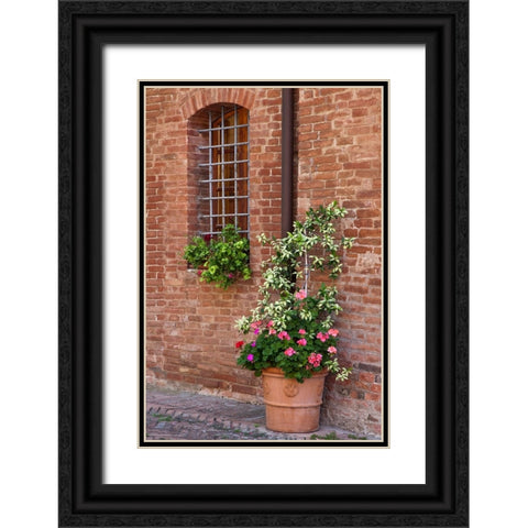 Italy-Tuscany-Crete Senesi-Asciano Street scene with potted flowers Black Ornate Wood Framed Art Print with Double Matting by Eggers, Julie