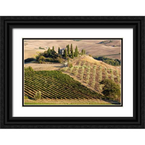 Italy-Tuscany Belvedere House-Olive trees-and vineyards near San Quirico dOrcia Black Ornate Wood Framed Art Print with Double Matting by Eggers, Julie