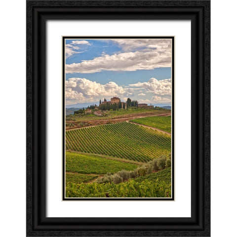 Italy-Tuscany A view of the vineyards and villa in Chianti region of Tuscany-Italy Black Ornate Wood Framed Art Print with Double Matting by Eggers, Julie