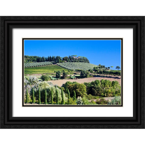 Italy-Tuscany Villa on hillside surrounded with olive trees and vineyard Black Ornate Wood Framed Art Print with Double Matting by Eggers, Julie