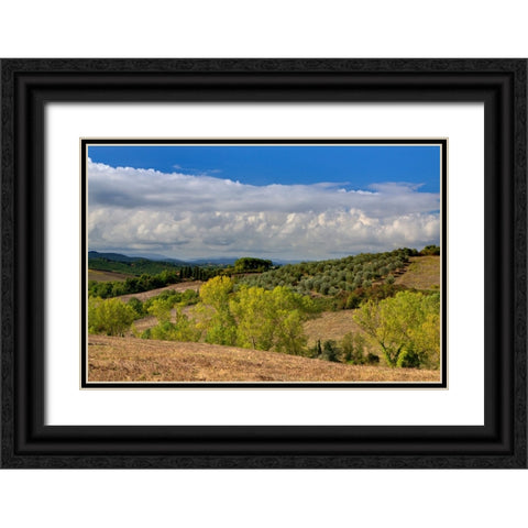 Italy-Tuscany Tuscan landscape Black Ornate Wood Framed Art Print with Double Matting by Eggers, Julie