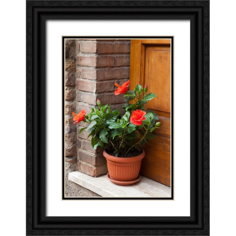 Italy-Tuscany-San Gimignano Red hibiscus flower in a pot on the doorstep of a home in San Gimignano Black Ornate Wood Framed Art Print with Double Matting by Eggers, Julie
