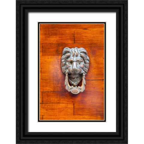 Italy-Venice-Burano Island Closeup of a lion head door knocker on a wooden door Black Ornate Wood Framed Art Print with Double Matting by Eggers, Julie