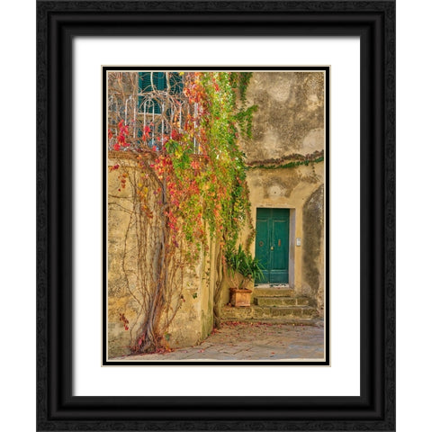Italy-Tuscany-Monticchiello Red ivy covering the walls of the buildings Black Ornate Wood Framed Art Print with Double Matting by Eggers, Julie