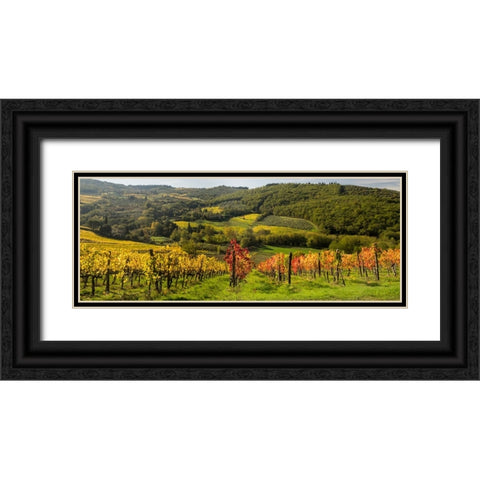 Italy-Tuscany Panoramic view of a colorful vineyard in the Tuscan landscape Black Ornate Wood Framed Art Print with Double Matting by Eggers, Julie