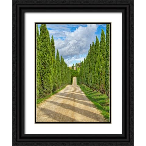 Italy-Tuscany Road lined with Italian cypress leading to a villa Black Ornate Wood Framed Art Print with Double Matting by Eggers, Julie