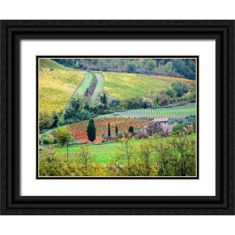 Italy-Tuscany View of the Tuscan countryside Black Ornate Wood Framed Art Print with Double Matting by Eggers, Julie