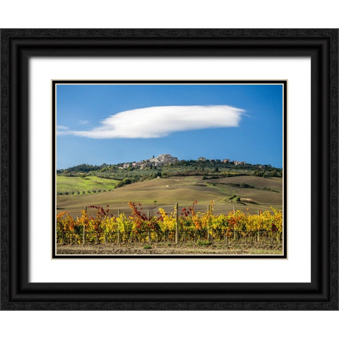 Italy-Tuscany Colorful vineyards in autumn with blue skies and clouds Black Ornate Wood Framed Art Print with Double Matting by Eggers, Julie