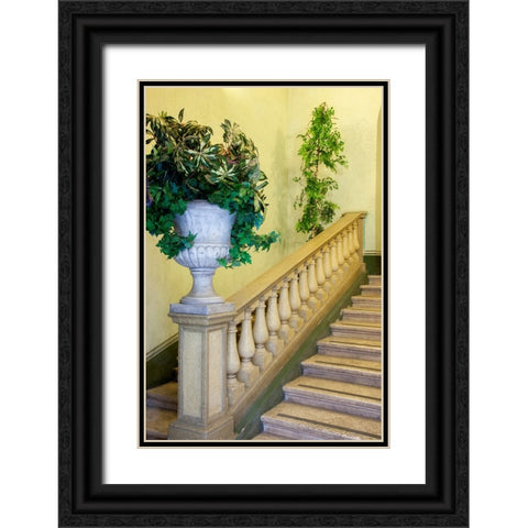 Italy- Umbria- Spoleto. Concrete urn filled with greenery on the end of a banister of a staircase. Black Ornate Wood Framed Art Print with Double Matting by Eggers, Julie