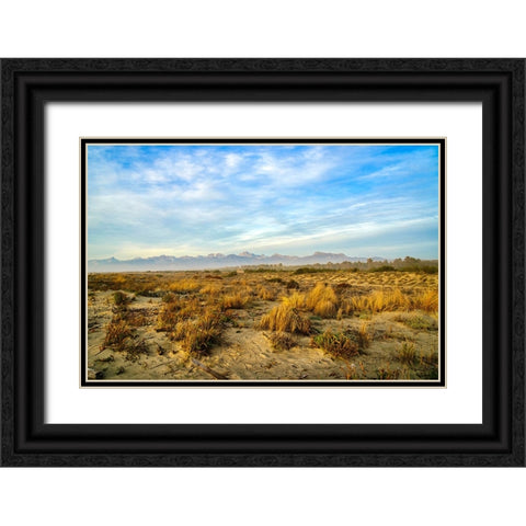 Italy-Riserva Naturale di Massaciuccoli San Rossore-protected coastal forest in Tuscany Black Ornate Wood Framed Art Print with Double Matting by Molinari, Michele
