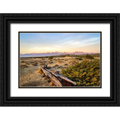 Italy-Riserva Naturale di Massaciuccoli San Rossore-protected coastal forest in Tuscan Black Ornate Wood Framed Art Print with Double Matting by Molinari, Michele